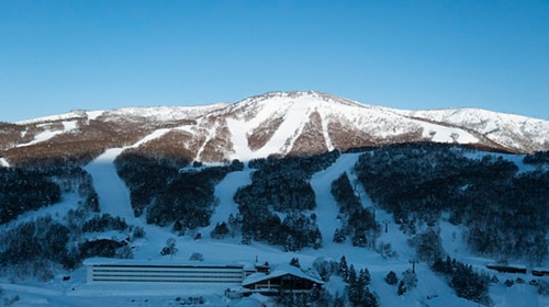 志賀高原焼額山スキー場の画像