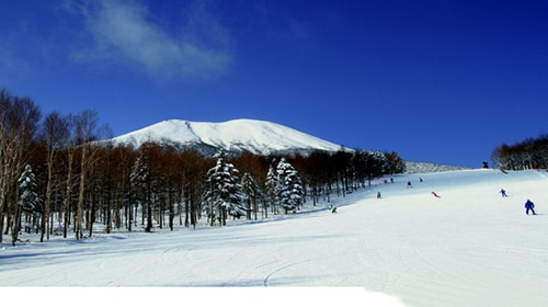 開田高原マイアスキー場