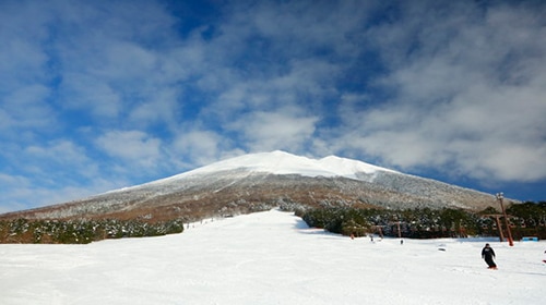 大山ますみず高原スノーパークの画像