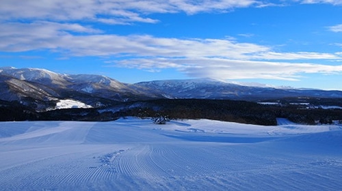 羽黒山スキー場の画像