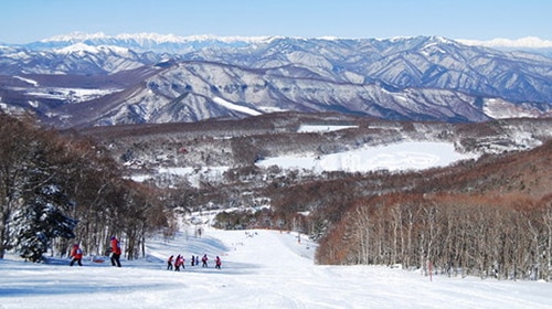 白樺高原国際スキー場の画像