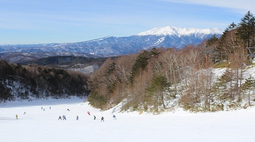 木曽福島スキー場の画像